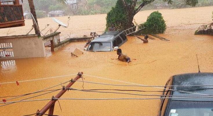 Ascienden a quince las personas muertas en el derrumbe de un edificio en Sierra Leona Ascienden a quince las personas muertas en el derrumbe de un edificio en Sierra Leona