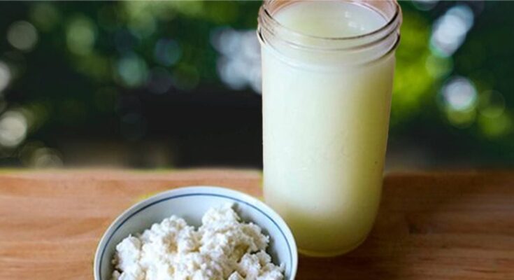¿Qué es el lactosuero? ¿Es verdad que algunas leches están rendidas con este ingrediente? ¿Qué es el lactosuero? ¿Es verdad que algunas leches están rendidas con este ingrediente?