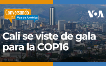 COP16, un encuentro para proteger la biodiversidad y el medio ambiente COP16, un encuentro para proteger la biodiversidad y el medio ambiente
