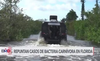 Emiten alerta por bacteria “come carne” en areas de Florida impactadas por huracanes Emiten alerta por bacteria “come carne” en areas de Florida impactadas por huracanes