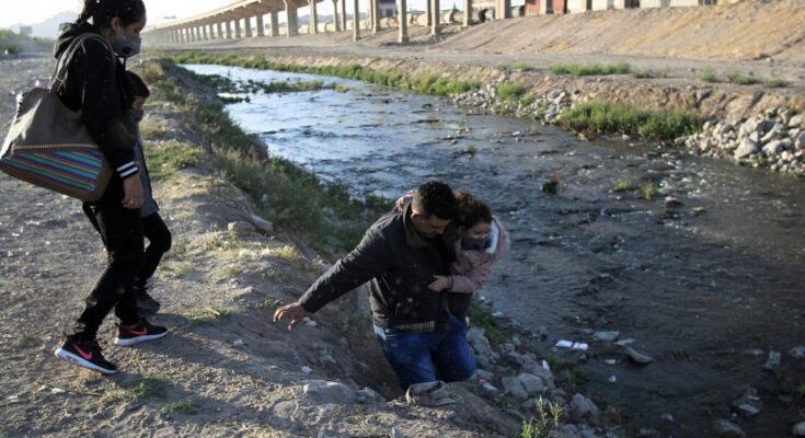 Los inmigrantes ilegales: la “solución final” de Trump Los inmigrantes ilegales: la “solución final” de Trump