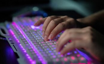 Piratas informáticos chinos violan partes del sistema de telecomunicaciones de EEUU, atacan campañas de Trump y Harris Piratas informáticos chinos violan partes del sistema de telecomunicaciones de EEUU, atacan campañas de Trump y Harris