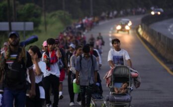 ¿Qué esperar sobre inmigración bajo una nueva administración de Trump? ¿Qué esperar sobre inmigración bajo una nueva administración de Trump?
