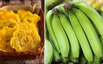 ¿Qué pasa si come plátano verde todos los días? Puede ser un alimento que cambie su salud por completo ¿Qué pasa si come plátano verde todos los días? Puede ser un alimento que cambie su salud por completo