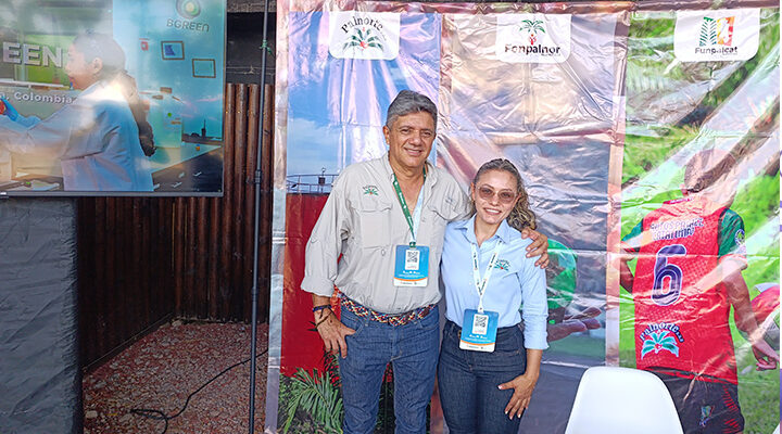 La palma de aceite le gana a la coca en el Catatumbo, pero el conflicto espanta trabajadores La palma de aceite le gana a la coca en el Catatumbo, pero el conflicto espanta trabajadores
